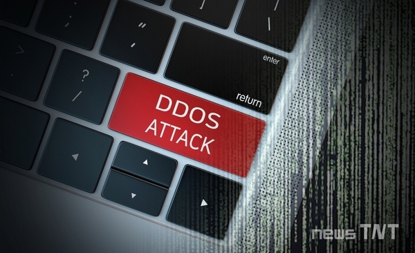 디도스(DDos) / 뉴스티앤티