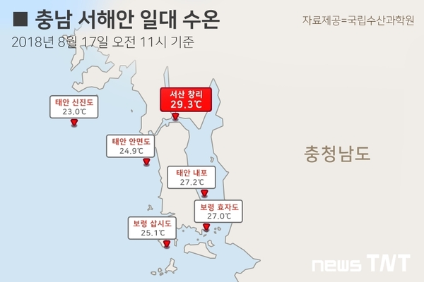충남 서해안 일대 수온 (8월 17일 오전 11시 기준) / 뉴스티앤티