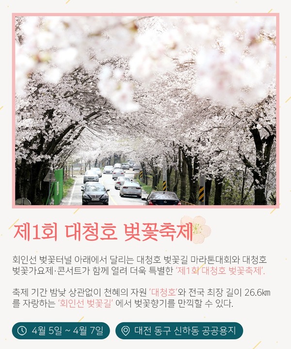 명소 대전 벚꽃 2022년 경주,