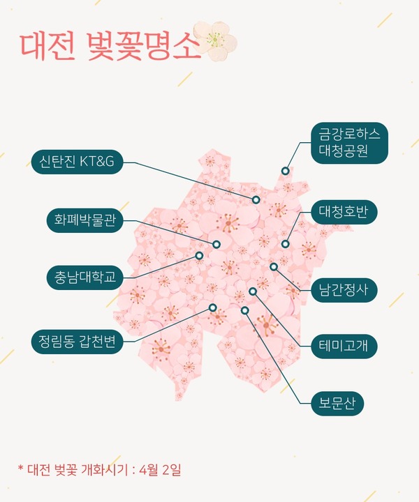 명소 대전 벚꽃 대전 벚꽃