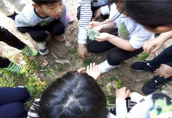 [자료사진] 숲치유 활동 모습 / 대전시 제공