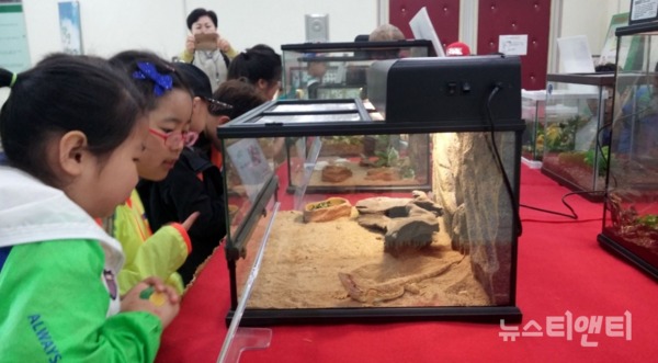 오는 6월 2일까지 한 달간 대청호자연생태관에서 희귀 동물 전시회가 개최된다. (사진=지난해 전시회 모습. 아이들이 도마뱀을 관찰하고 있다) / 대전 동구 제공