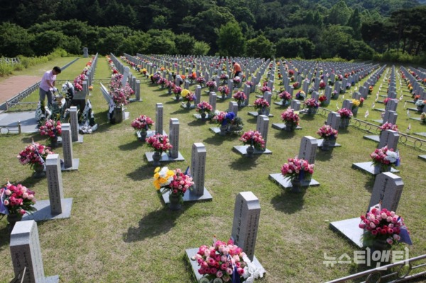 [6월을 맞은 대전현충원 묘역] 자원봉사자들의 손길로 깨끗하게 단장한 묘비들이 나란히 줄을 서 있는 가운데 묘비마다 꽃과 태극기가 가지런히 꽂혀 있다.  / ⓒ 뉴스티앤티