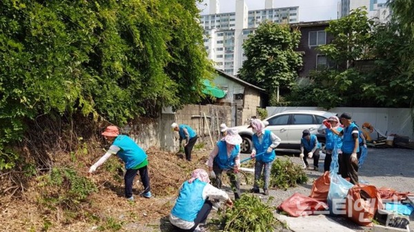 대전 유천1동 직원과 자원봉사자들이 대전서남부터미널 인근 빈집 밀집지역에서 환경정비를 하고 있다 / 대전 중구 제공