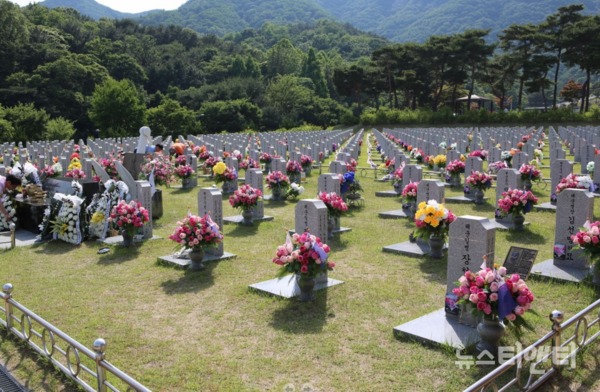 [6월을 맞은 대전현충원 묘역] 자원봉사자들의 손길로 깨끗하게 단장한 묘비들이 나란히 줄을 서 있는 가운데 묘비마다 꽃과 태극기가 가지런히 꽂혀 있다.  / ⓒ 뉴스티앤티