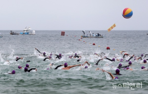 제16회 태안 바다수영대회가 28일 태안 만리포해수욕장에서 전국 수영동호회 1600여 명이 참석한 가운데 성황리에 개최됐다. / 충남도 제공