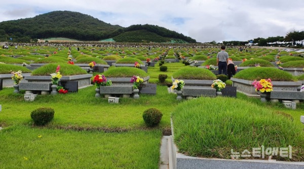 추석을 며칠 앞둔 8일 세종시 장군면 금암리 대전공원묘지를 찾은 성묘객들이 성묘를 하고 있는 모습 / ⓒ 뉴스티앤티