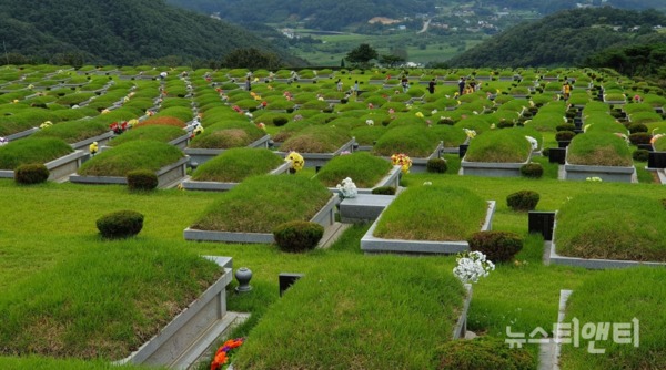 세종시 장군면 금암리 대전공원묘지 / ⓒ 뉴스티앤티