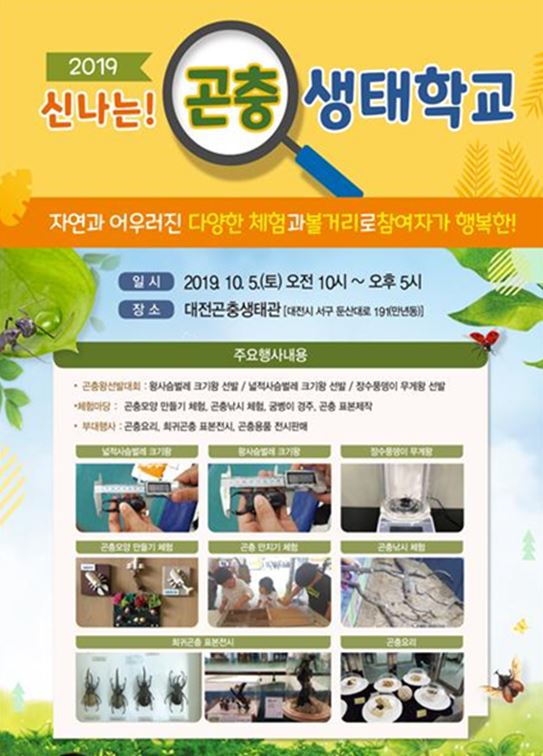 2019 신나는 곤충생태학교 / 대전시 제공