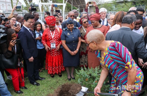 만델라 대통령 전 부인이 남아공 더반컨벤션센터에서 열린 세계평화 나무심기캠페인에 참석해 기념식수를 하고 있다 / 대전시 제공