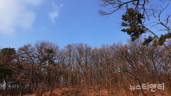 충북지역은 오늘 맑은 날씨를 보이겠다./ ⓒ 뉴스티앤티