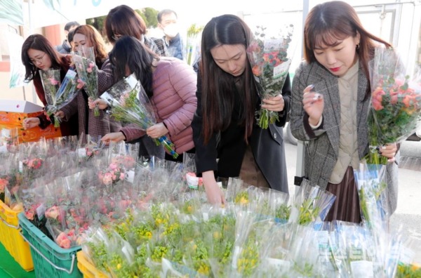 충북도가 14일 도청 광장에서 ‘화훼농가 돕기 일일 직거래장터’를 개설한 가운데, 직원들이 꽃을 구매하고 있다. / 충북도 제공