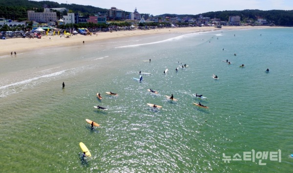서핑객들로 붐비는 만리포 해수욕장(항공 자료사진) / 충남도 제공