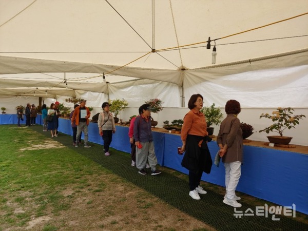 속리산들꽃사랑회 야생화 전시회가 이달 29일부터 31일까지 3일간 속리산 잔디광장에서 열린다. / 보은군 제공