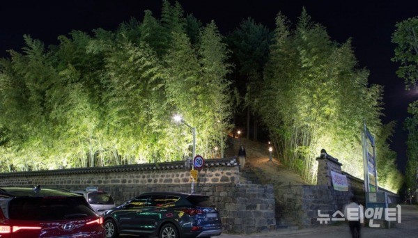야간경관조명이 설치된 대전 둔산선사유적지 돌담길(대나무숲) / 대전시 제공 