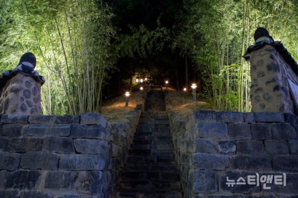 야간경관조명이 설치된 대전 둔산선사유적지 돌담길(대나무숲) / 대전시 제공 