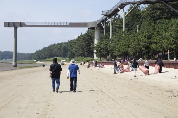 국립해양생물자원관 임직원들과 서천군청 공무원들이 송림해변 바닷가에서 대청소 하는 모습