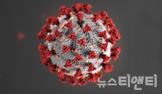 코로나바이러스 모형도(미국 질병통제예방센터(CDC) 홈페이지 캡쳐)