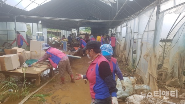 수해복구를 위해 자원봉사자들이 더위도 마다않고 온정의 손길을 펼치고 있는 모습 / 천안시 제공