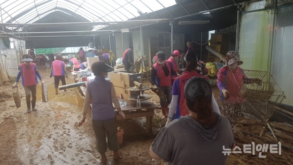 천안시여성단체협의회 회원 45명은 지난 10일 병천면 농가를 찾아 집기류와 농기구를 닦고 비닐하우스와 농작물을 수거했다 / 천안시 제공