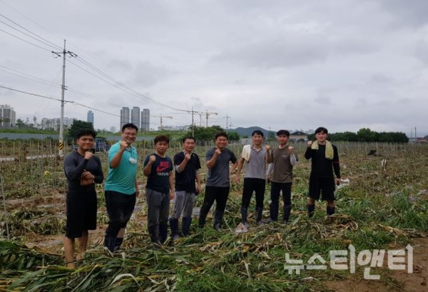 충남신용보증재단 직원들의 수해피해농가 재해복구 봉사 활동 모습