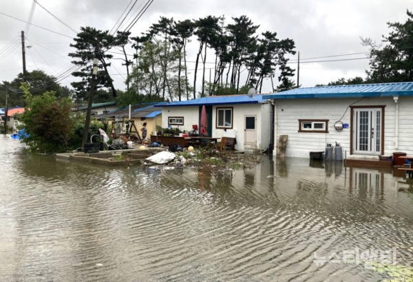 태안 안면읍 창기리 1267-2 일원 태풍 '하이선'으로 인한 침수피해 모습 / 태안군 제공