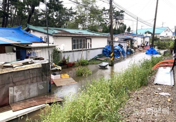 태안 안면읍 창기리 1267-2 일원 태풍 '하이선'으로 인한 침수피해 모습 / 태안군 제공