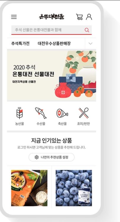 온통대전몰 메인화면 / 대전시 제공