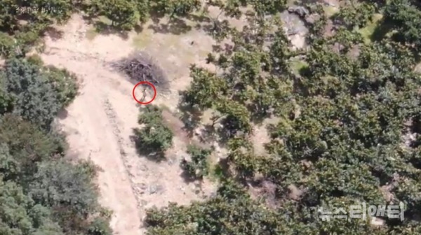 산에서 실종된 30대 남성을 포착한 드론 영상 / 충북소방본부 제공