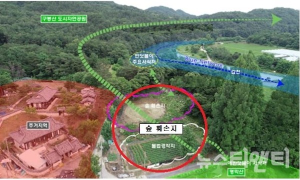 '서구 반디가 사는 미선나무 숲 복원사업' 계획도 / 대전시 제공