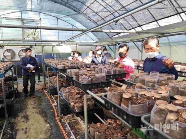 대전농업기술센터가 제13기 대전그린농업대학 신입생을 모집한다. / 대전시 제공