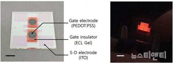 그림 2. (좌) 연구팀이 개발한 발광 스위칭 소자 사진 (실물크기: 3 cm × 3 cm)(우) 외부 직류전압 인가에 의해 빛을 방출하고 있는 소자 사진