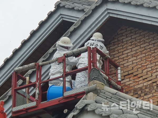 태안군 원북면 한 주택 외벽에서 소방공무원들이 말벌집을 제거하고 있다. / 충남소방본부 제공