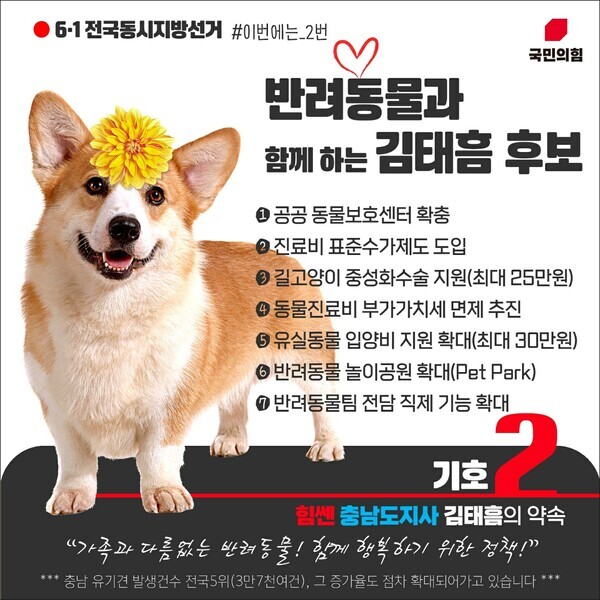 국민의힘 김태흠 충남지사 후보는 27일 가족의 일환인 반려동물들을 보호하고 급증하는 동물 유기를 줄이기 위한 ‘행복한 반려, 동행의 약속’을 마련했다. / 김태흠 후보 제공