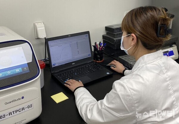 연구원이 인플루엔자 유전자 검출검사를 하고 있다. / 충남도 보건환경연구원 제공
