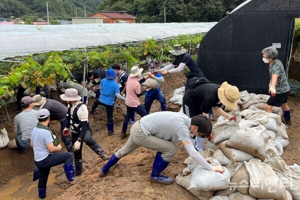충남도 인재개발원 정예공무원 교육과정 교육생들이 24일 부여군 은산면 일대 포도·딸기 농가에서 집중호우에 침수·파손된 현장의 피해 복구를 지원하고 있다. / 충남도 인재개발원 제공