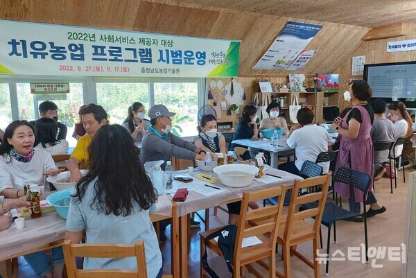 충남도가 치유농업의 사회서비스 정착 가능성을 검토하기 위해 사회서비스 제공자를 대상으로 치유농업 프로그램을 시범운영한다.(사진=27일 진행한 치유농업 프로그램 모습 / 충남도 농업기술원 제공)