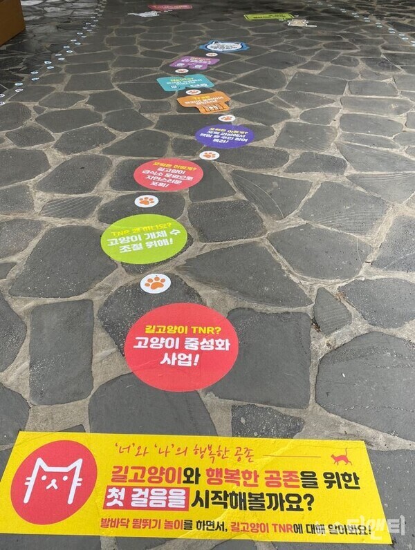종촌2교 주변에 마련된 ‘제천에서 편견을 넘어서길’. 발바닥 뜀뛰기 놀이를 비롯해 길고양이 중성화 수술의 필요성과 진행절차 등 길고양이에 대한 정확한 정보를 제공한다. / 세종시 제공
