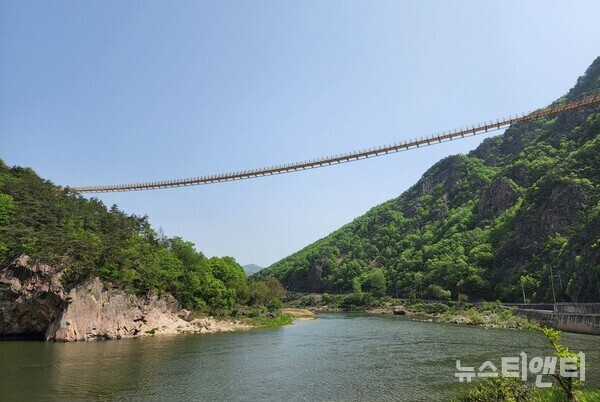 월영산 출렁다리 전경 / 뉴스티앤티