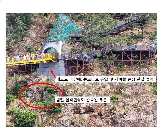 월영산 출렁다리 / 뉴스티앤티