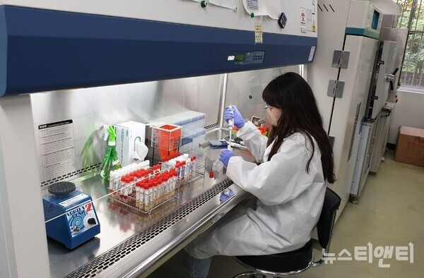 대전보건환경연구원은 지난주(9월 4주) 의뢰된 검체에서 대전지역 첫 계절 인플루엔자바이러스가 검출됐다고 26일 밝혔다.(사진=연구원이 인플루엔자바이러스 검사를 하고 있다.)