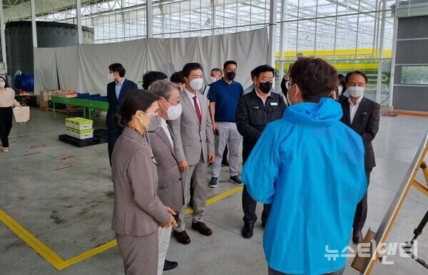 메르코수르(MERCOSUR : 남미공동시장) 회원국 대표 파라과이의 구아리아 주정부 국제관리부 이동호 장관이 28일 오전 10시 30분 태안군 원북면에 위치한 Culti Farm에서 스마트팜 농법에 대한 설명을 듣고 있다.(사진=왼쪽부터 윤경숙 상임이사, 서성동 회장, 이동호 장관, 가세로 태안군수)