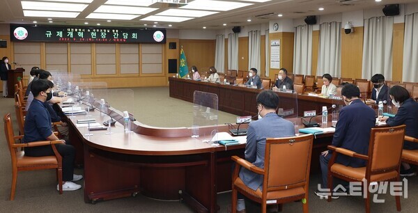 대전시와 국무조정실은 29일 오후 대전시청 5층 대회의실에서 규제개혁 현장간담회를 개최했다.