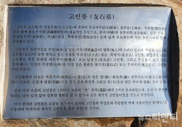 대전현충원 야생화공원 내 표지한 고인돌 안내문 / 뉴스티앤티 