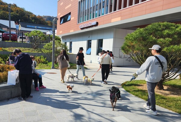 반려동물공원 행사장내를 보호자와 함께 자유롭게 다니는 반려견들 / 뉴스티앤티