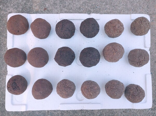 충남도가 불법 투기나 방치 등으로 각종 환경 문제를 야기하고 있는 액젓 찌꺼기를 활용해 김 황백화 예방‧치료제를 개발했다. / 충남도 제공