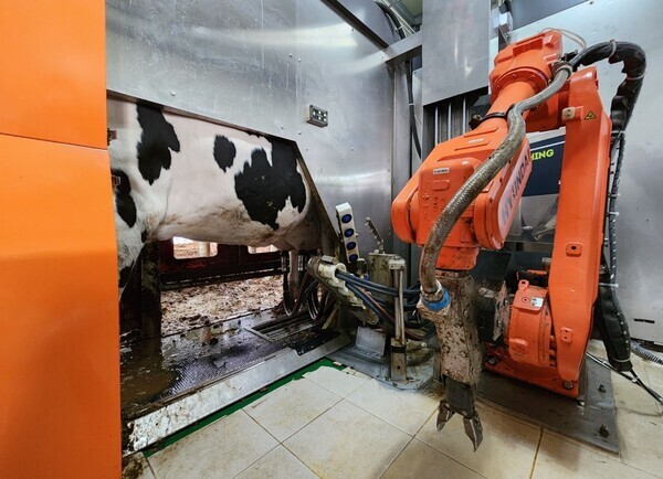 충남도가 국산 로봇착유기를 처음 보급하며, ‘디지털 낙농’ 기반 확보에 본격 나섰다. / 충남도 제공