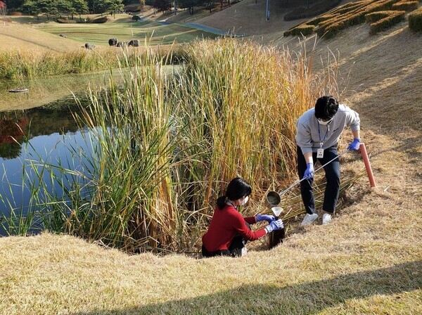 대전보건환경연구원은 올해 골프장 지역 골프장 4곳에 대한 농약 잔류량 검사를 실시한 결과 모두 인체에 유해한 고독성 및 잔디 사용금지 농약이 검출되지 않았다고 18일 밝혔다. / 대전시 제공