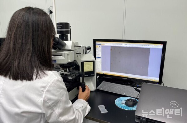 세종시가 지난 5월부터 10월까지 관내 유치원 56곳의 모래놀이터에서 기생충란 검출 여부를 조사한 결과 모든 시설에서 기생충란이 검출되지 않은 것으로 나타났다. (사진=세종시보건환경연구원 동물위생시험소 연구원이 기생충란 검사를 하고 있다.)