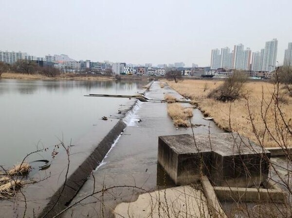 대전 갑천 태봉보가 2023년 6월까지 철거된다. (사진=갑천 태봉보) / 대전시 제공